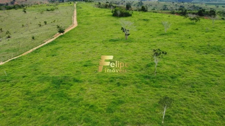 Imagem Fazenda 55 alqueires escriturada produtiva com muita água em Colatina.