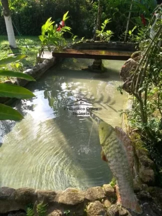 Imagem Apartamento à venda no bairro Horto Florestal - Ubatuba/SP
