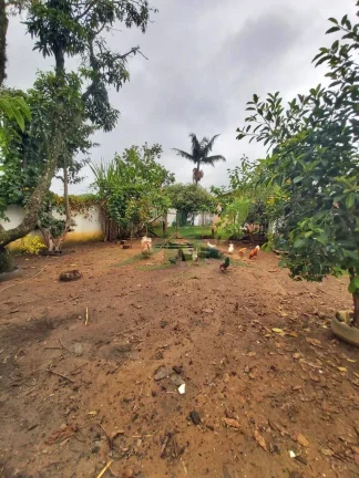 Imagem Oportunidade Imperdível Casa à Venda em Bom Jesus dos Perdões