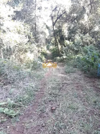 Imagem Chácara - Sítio com 3 Dormitorio(s) localizado(a) no bairro Nova Renania em Santa Maria do Herval / RIO GRANDE DO SUL Ref.:1550