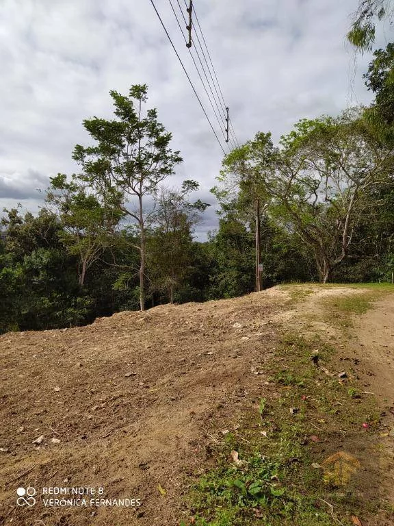 Imagem Terreno à Venda, 4.959 m² em Aldeia - Paudalho