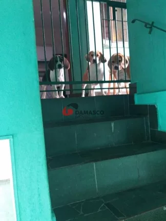 Imagem Sobrado à venda 2 Quartos, 1 Suite, 4 Vagas, 211M², Cerâmica, São Caetano do Sul - SP
