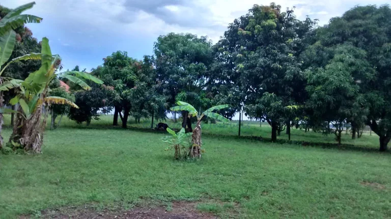 Imagem Chácara