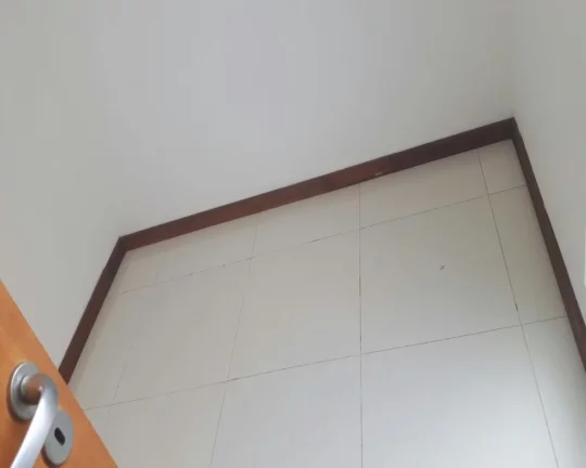 Imagem Aluguel de Casa com 2 Quartos e 1 Banheiro na Vila Santana, São Paulo-SP!