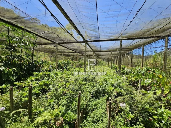 Imagem Sítio à venda, 338800 m² por R$ 2.600.000,00 - Ponte Nova - Teresópolis/RJ