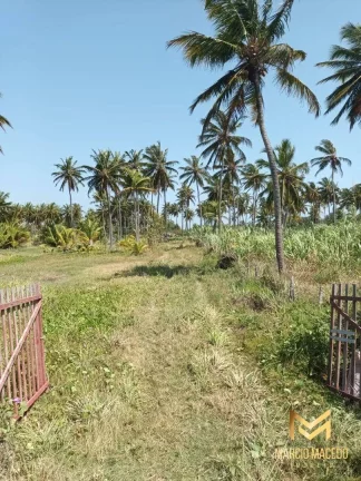 Imagem Terreno à venda, 18615 m² por R$ 3.600.000 - Ilha do Guajiru - Trairi/CE