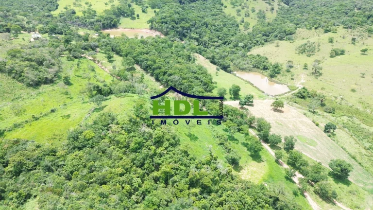 Imagem Fazenda Top para Criação de Gado 100 Kms de Goiânia