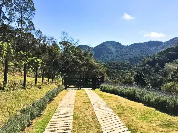 Imagem Contemplação e Design: O Equilíbrio Perfeito no Campestre