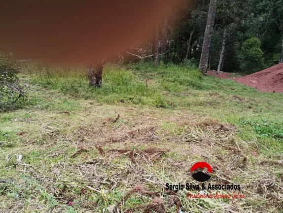 Imagem Terreno a Venda na Região da Vila Natal em Campos do Jordão -sp.