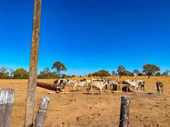 Imagem Fazenda à Venda, 500.000 m² em Zona Rural - Luziânia