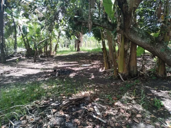 Imagem Terreno de 2.800m² à venda, localizado em Chã de Onça, Paudalho - Pernambuco.