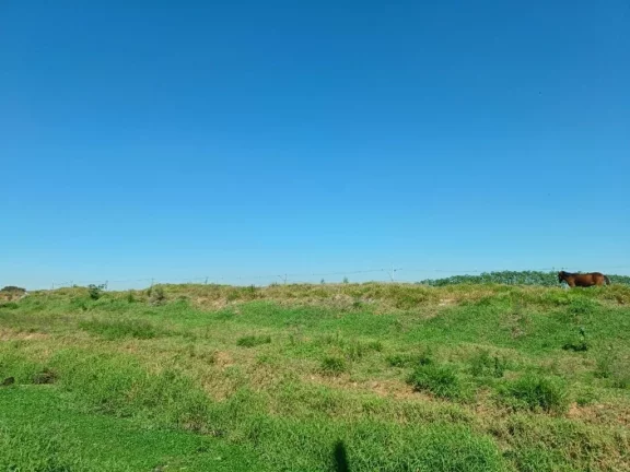 Imagem Área para alugar, 1500 m² por R$ 1.725,00/mês - Cidade Miguel Badra - Suzano/SP