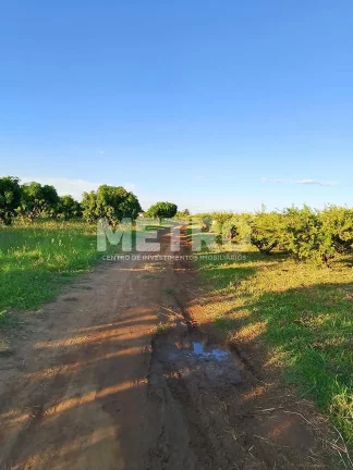 Imagem Fazenda de com 20 hectares produzindo e com Infraestrutura, CASA NOVA - BA