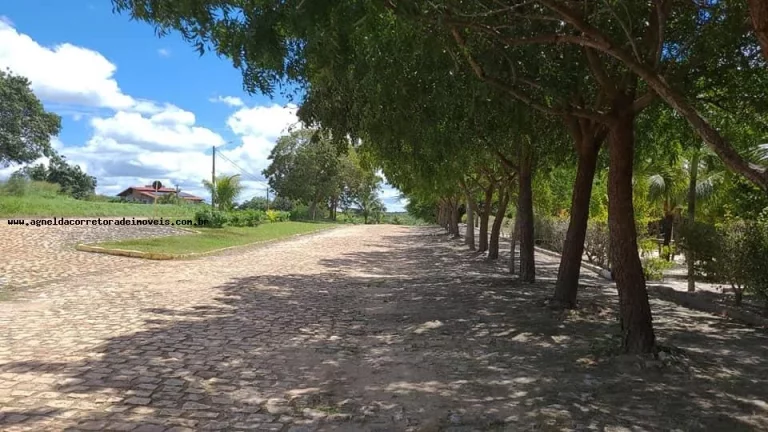 Imagem Terreno em Condomínio para Venda em Macaíba, Área Rural de Macaíba