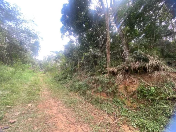 Imagem Terreno à venda, 300 m² por R$ 45.000,00 - Parque Astúrias - Suzano/SP