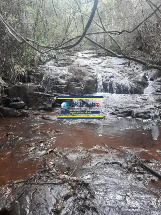 Imagem Sítio 3 alqueires ou 7,26 hectares com casa, cercada, 6.000 pés de café em São Tomás de Aquino - MG