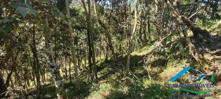 Imagem Terreno Rural na Serra da Mantiqueira | Sertão do Cantagalo