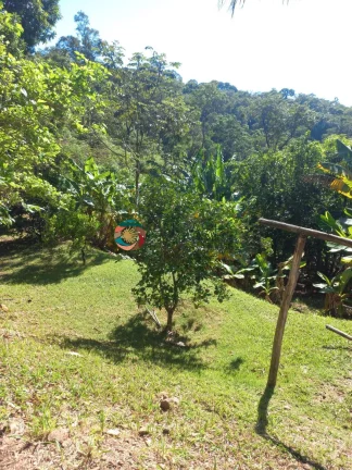 Imagem CHÁCARA COM CASA SEDE - PISCINA - EXCELENTE OPORTUNIDADE