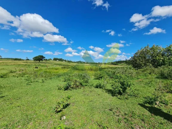 Imagem FAZENDA PEROBAS - OPORTUNIDADE ÚNICA DE INVESTIMENTO EM ARARUAMA/RJ