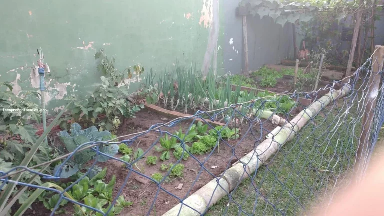Imagem Casa para Venda em Itirapina, Broa, 3 dormitórios, 1 banheiro, 1 vaga