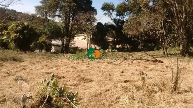 Imagem Área para Venda em São Roque, Centro (são João Novo)
