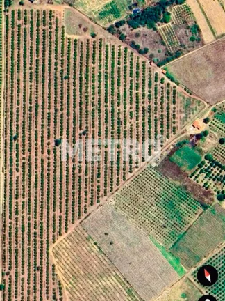 Imagem Fazenda à venda, 14,5 hc produzindo caju, goiaba e sapota.