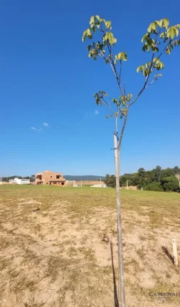 Imagem Terreno à venda no Condomínio Villagio Azzure com 360m²
