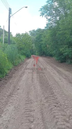 Imagem Vendo Chácara, documentada, Pau D