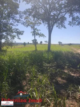 Imagem Fazenda à Venda no Município de Camapuã/MS contendo 1003 hectares com Formação 50% feito esse ano | Mangueiro Novo sendo finalizado | 18 KM da Rodovia
