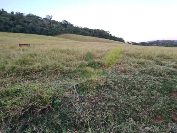 Imagem Sítio em Piracaia com 31 Alqueires