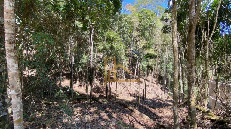 Imagem Terreno de 10 mil m² no Condomínio Grão Pará – Albuquerque