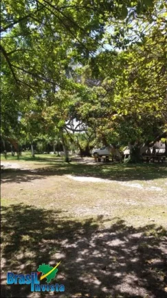 Imagem LINDA ÁREA EM CABRÁLIA