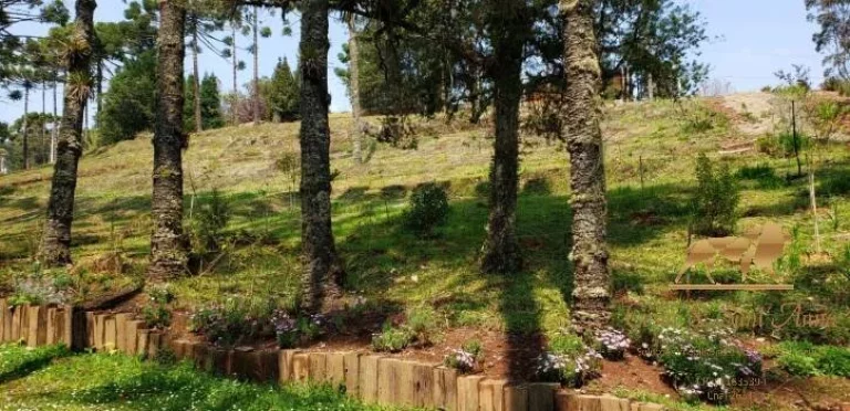 Imagem Terreno à venda, 1300 m² por R$ 1.250.000,00 - Campos Do Jordão - Campos do Jordão/SP