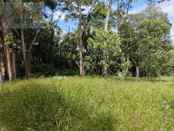 Imagem TERRENO CANANÉIA