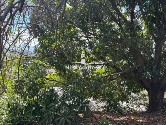 Imagem Terreno com 336 m² Venda no Bairro Vera Cruz - Cariacica/ES