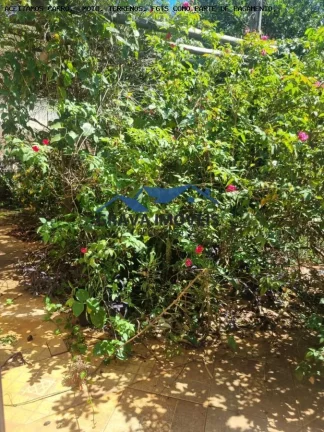 Imagem Terreno Residencial para Venda em Sarandi, Centro, 2 dormitórios, 1 banheiro, 2 vagas