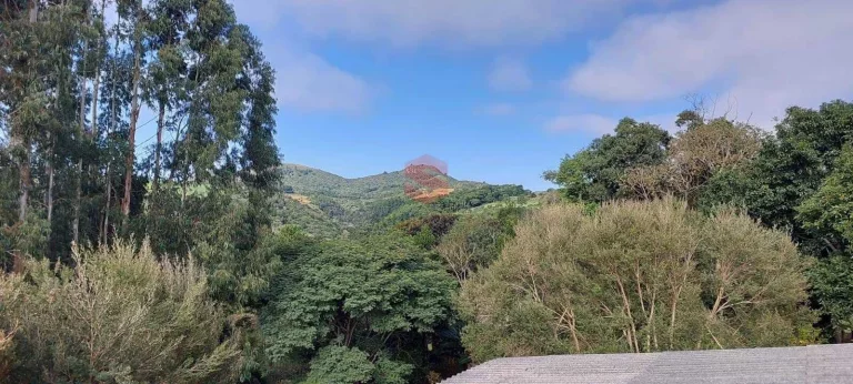 Imagem Chácara à venda em Campo Largo/PR