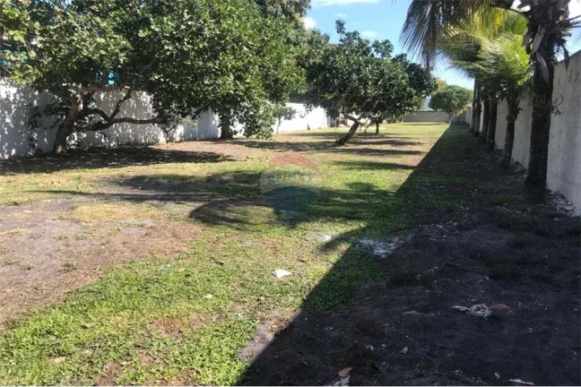 Imagem Terreno 480m, plano e murado, Jardim Atlântico Leste, Itaipuaçu.