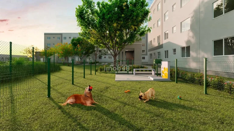 Imagem Apartamento à venda em Bela Vista, Palhoça, 2 quartos, 47m²