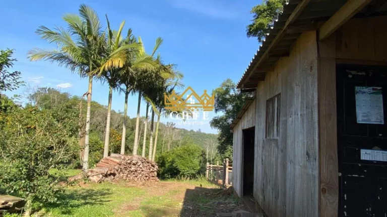 Imagem Chácara - Sítio com 2 Dormitorio(s) localizado(a) no bairro Zona Rural em Três Coroas / RIO GRANDE DO SUL Ref.:1415
