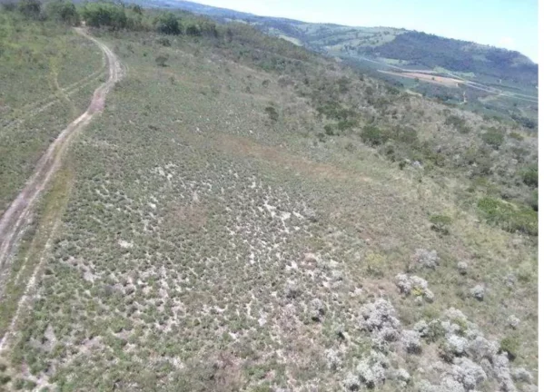 Imagem OPORTUNIDADE! FAZENDA A VENDA EM PEIXOTO (LAJE-IBIRACI)