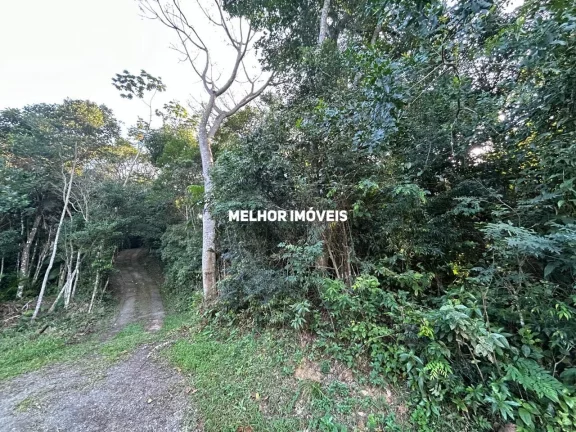 Imagem Terreno Residencial ou comercial à venda com 81.400 m² na Praia de Taquaras em Balneário Camboriú