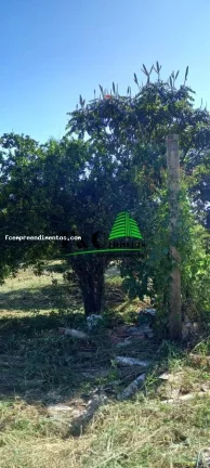 Imagem Chácara para Venda em Limeira, Bairro dos Pires