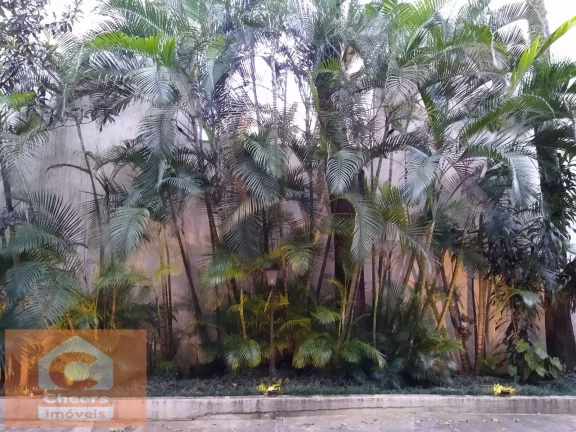Imagem Px AO PARQUE IBIRAPUERA-METRÔ-CONFIRA !!!