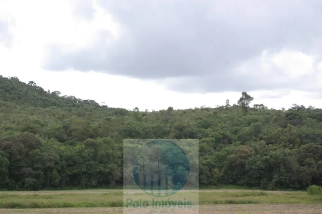 Imagem Sitio 8,23 alqueires ou 19,93 ha para compensação de Reserva, R$ 60 mil o alqueire - Jacuí - Minas Gerais.