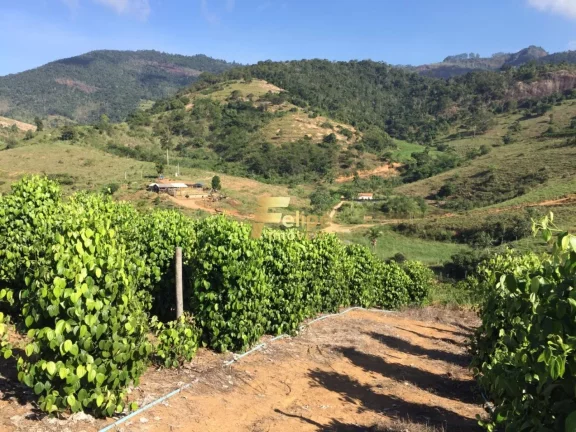 Imagem Fazenda de aproximadamente 50 alqueires.