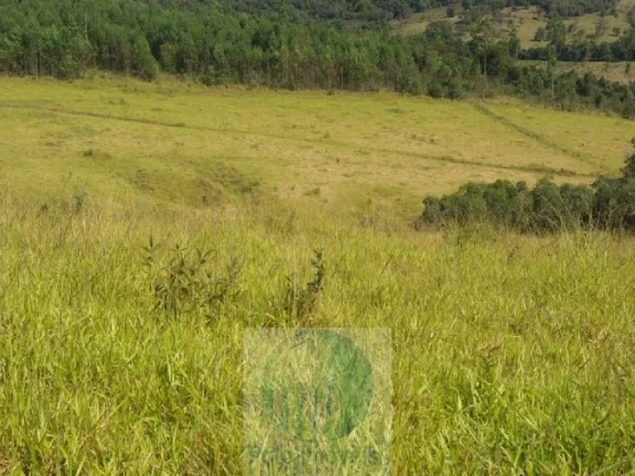 Imagem SÍTIO A VENDA 12,5 ALQUEIRES a R$ 88.000 o Alqueire, JACUÍ - SUL DE MINAS GERAIS, para gado, milho, soja.