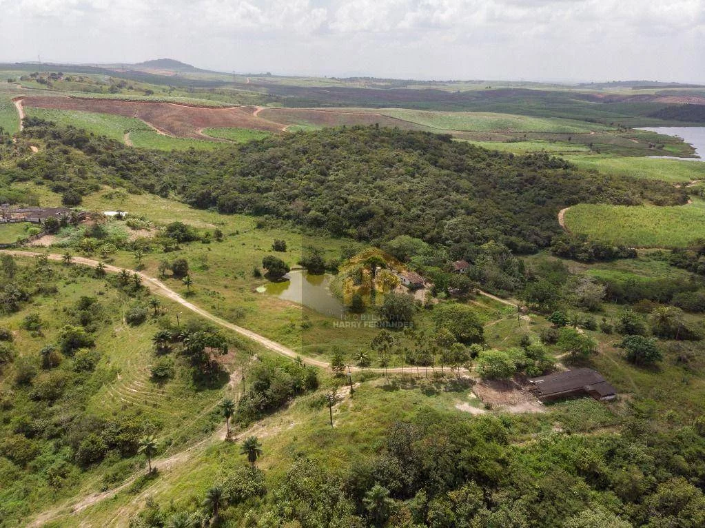 Imagem Fazenda à Venda, 160.000 m² em Rural - Paudalho