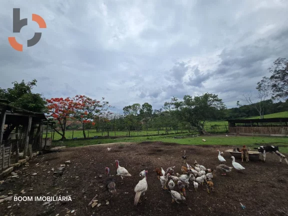 Imagem Sítio com 1 dormitório à venda, 36480 m² por R$ 3.000.000,00 - Santa Rosa - Queimados/RJ