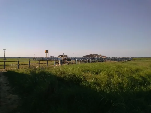 Imagem FAZENDA RURAL em LINHARES - ES, ÁREA RURAL DE LINHARES